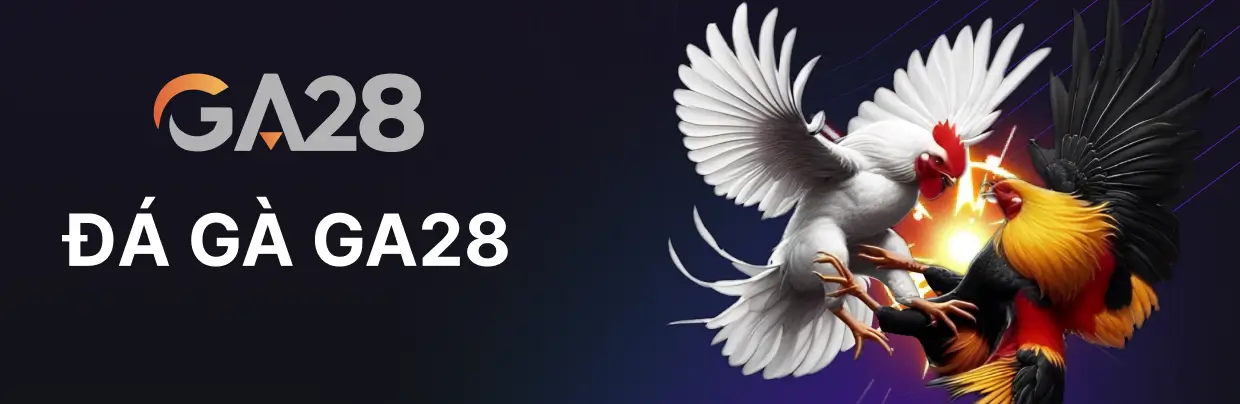 Đá Gà 28