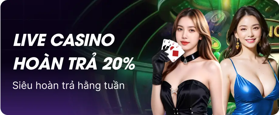 promotion-data-image