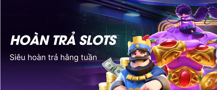 promotion-data-image