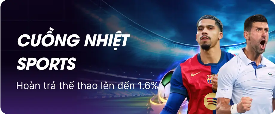 promotion-data-image